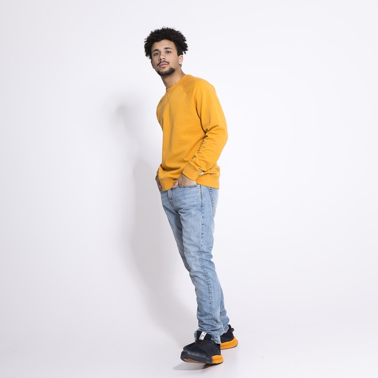 Sweatshirt "Premium Sweater" Sweatshirt "Premium Sweater"